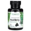 Acai Berry, 60 Vegetable Caps (500 Mg Per Capsule)