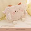 Hot Water Bag Charging Winter Cute Stuffed Hand Warmer Explosion-Proof Genuine Goods Hot-Water Bag Girls Belly Compress Electric Warmer