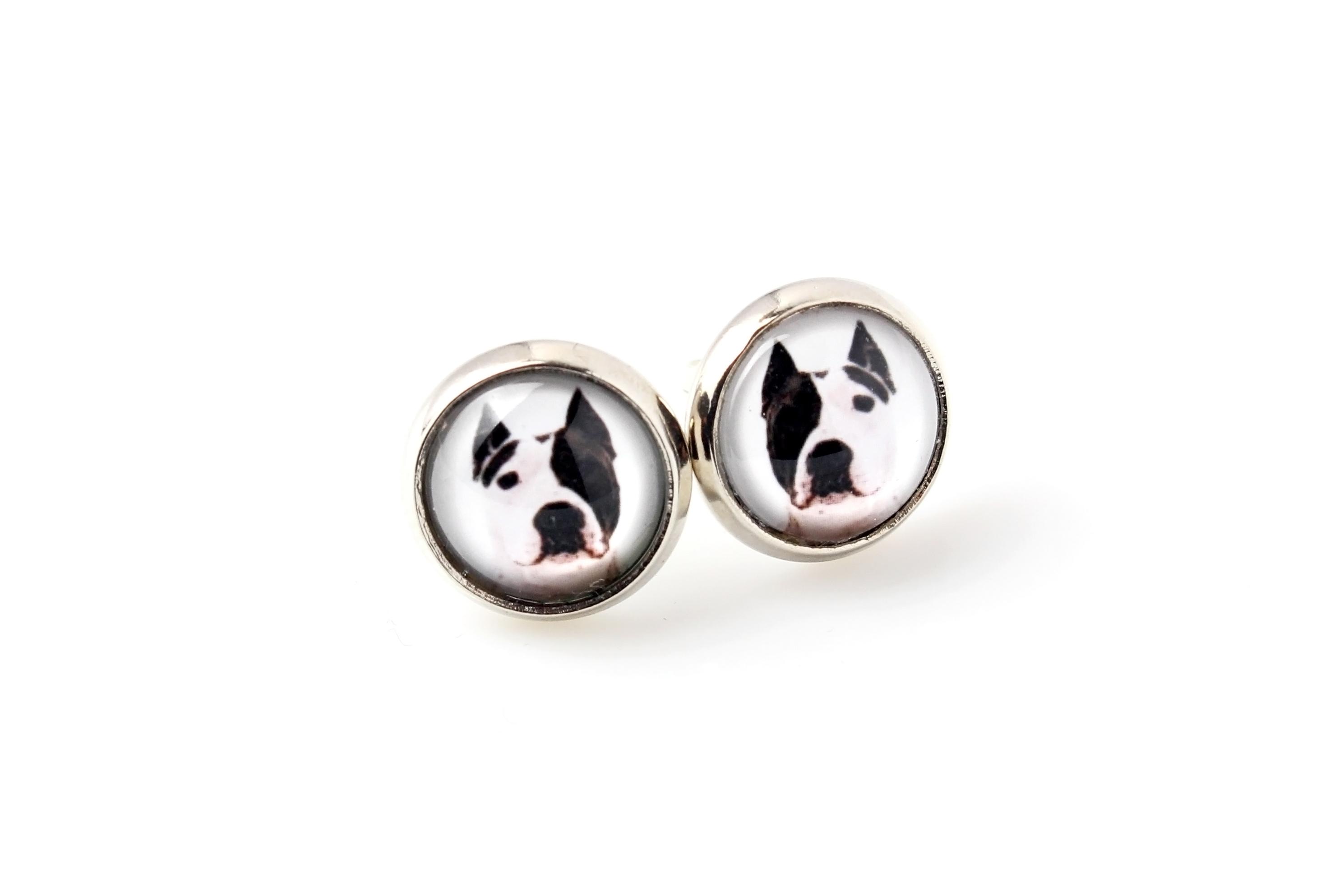 

American Staffordshire Terrier, Amstaff - earrings your photo handmade, own photo, jewelry from the Art.-Dog brand срібний