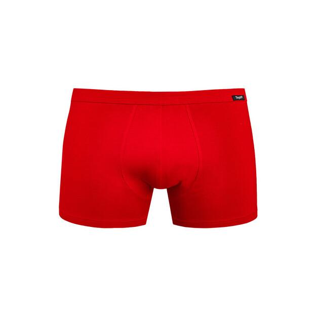 Боксеры Teyli Levi