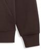 Puma Men's Casual Hooded Pullover