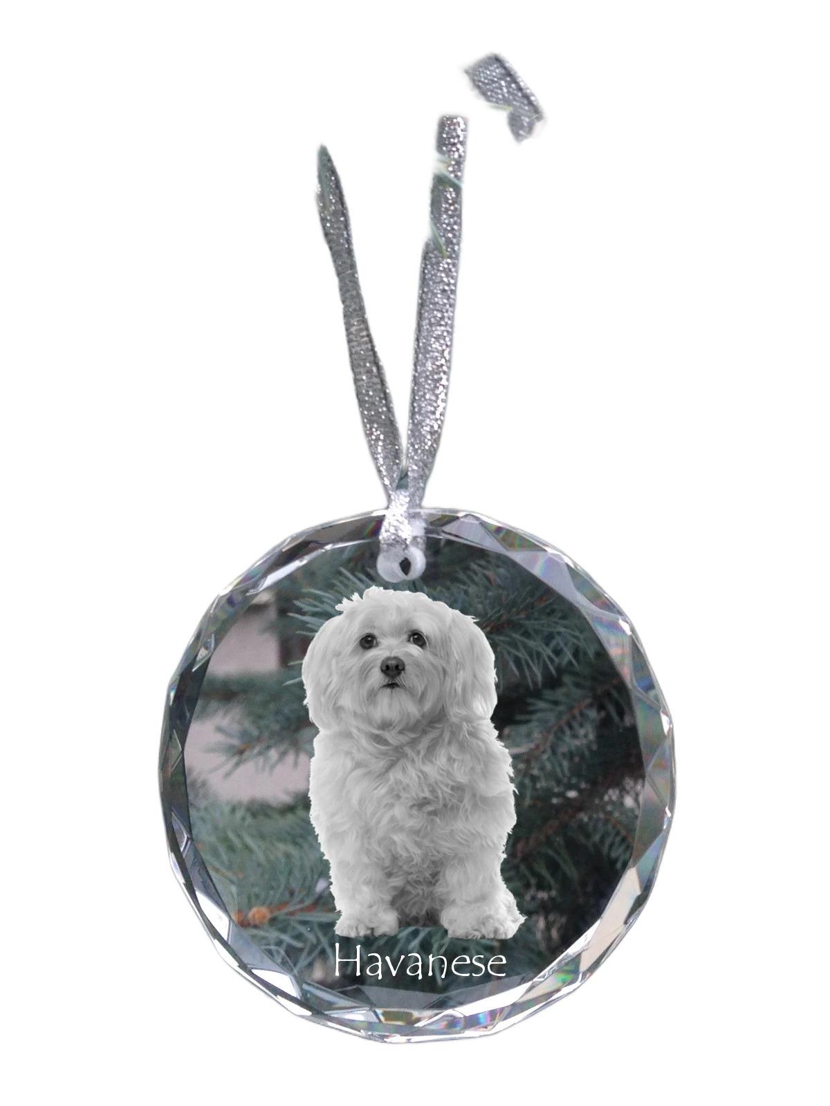

Havanese, Havanese Cuban Bichon - crystal bauble with a photo, dog photo in crystal, personalized Christmas tree ornament by Art-Dog brand прозорий