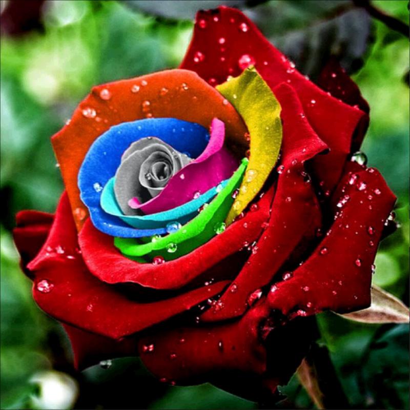 5D Diamond Painting Diy Home Wall Decoration Painting Christmas Handmade Small Gift Cross Stitch Embroidery Complete Kit