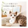 Cat Stuffed Toy Realistic Cat Goods Birthday (design C)