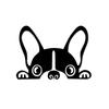 SUNNY Cutting Sticker Car Sticker for Cars, Motorcycles, Walls, Carrying