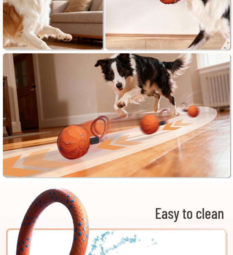 PetSmart Electric Dog Toy: Waterproof, Bite-Resistant E-TPU Bouncing Ball with Rope for Interactive Teething