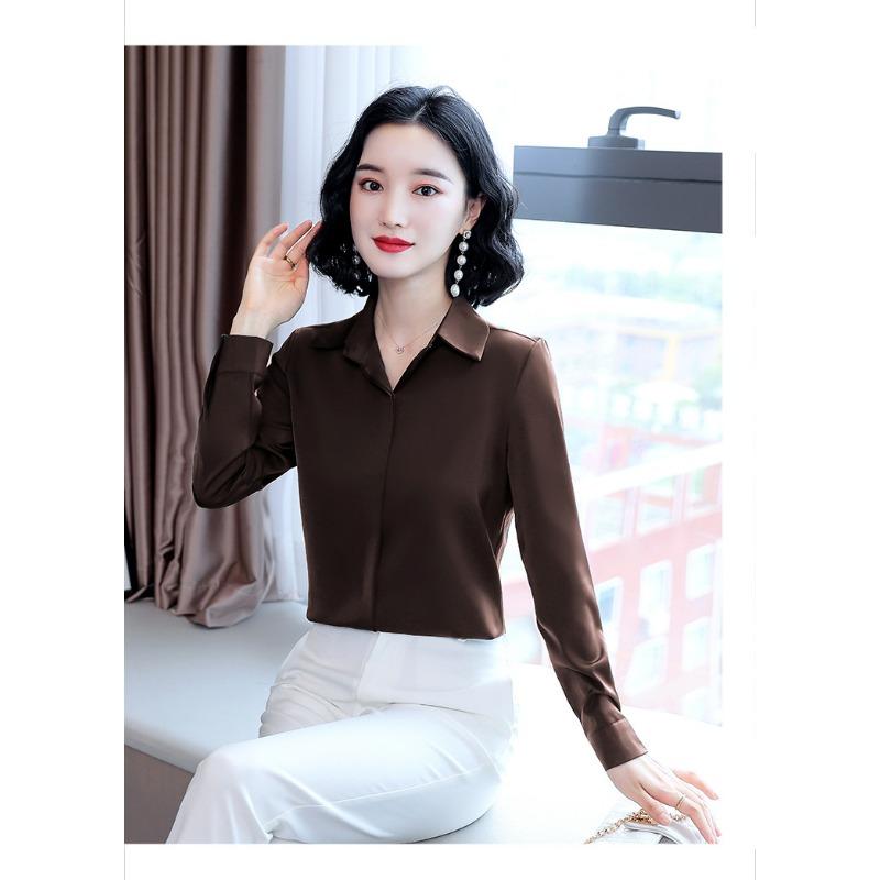 Spring and Autumn New Style Acetate Satin Design Stretch Imitation Silk Versatile Long-sleeved Satin Shirt for Women