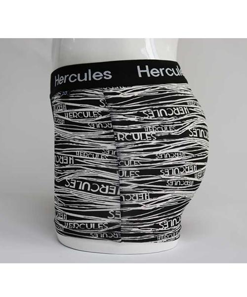 Helakeulleseueondeoweeo [Hercules Underwear] Semi-Dal Boxer Briefs 2-Piece Set