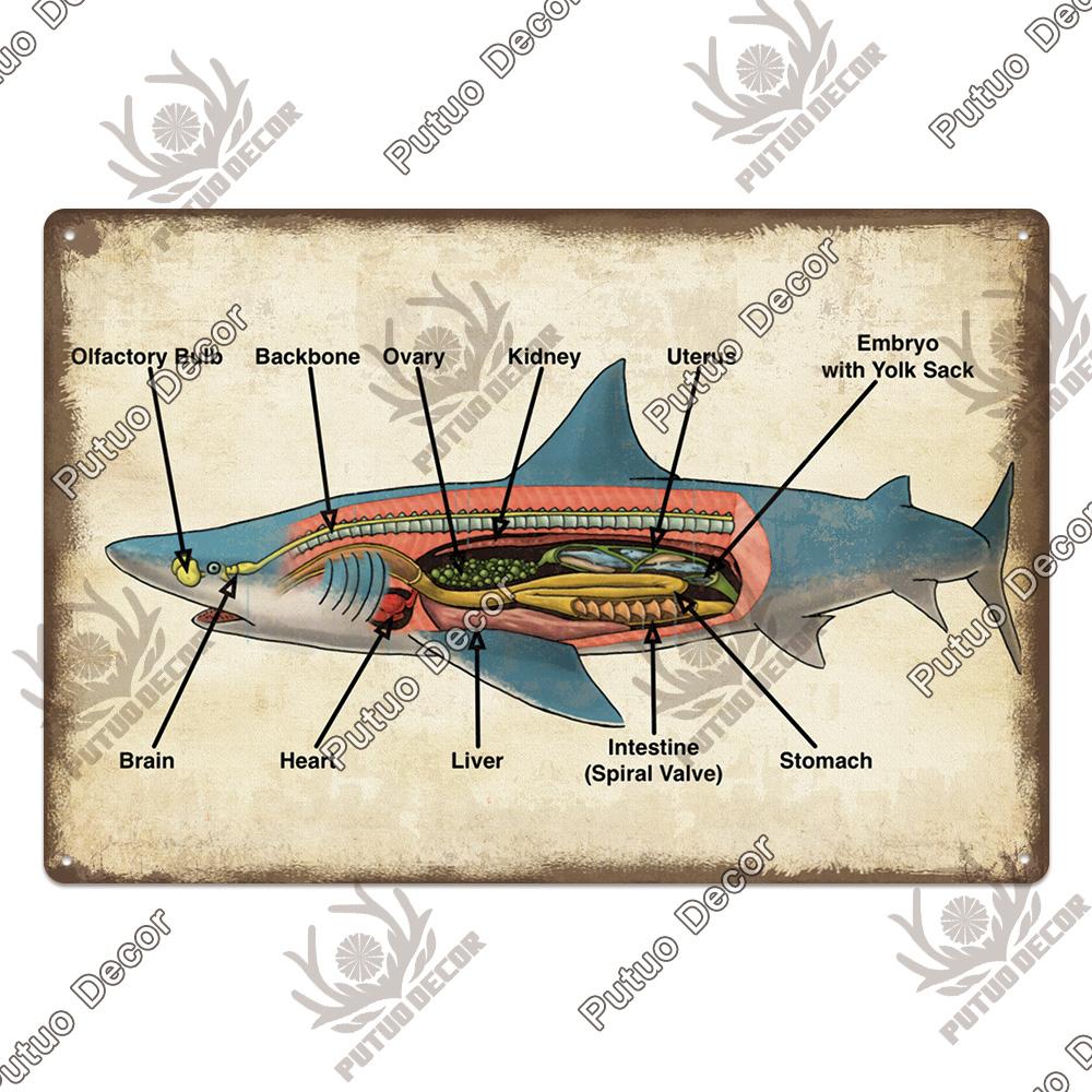 Putuo Decor Shark Sign Metal Signs Vintage Tin Sign Funny Warning Movie Poster for Bar Pub Kitchen Club Man Cave Wall Decoration