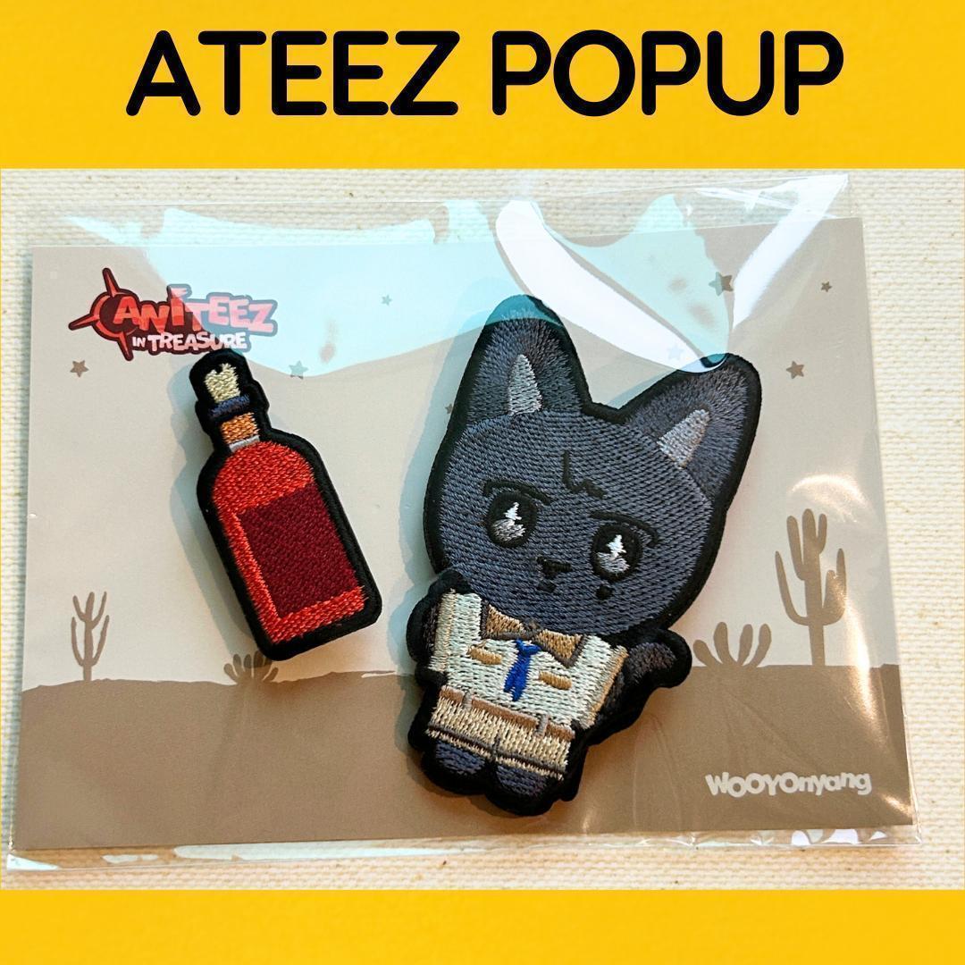 

[ВЖИВАНИЙ] ATEEZ Wooyoung POPUP Набір патчів D808