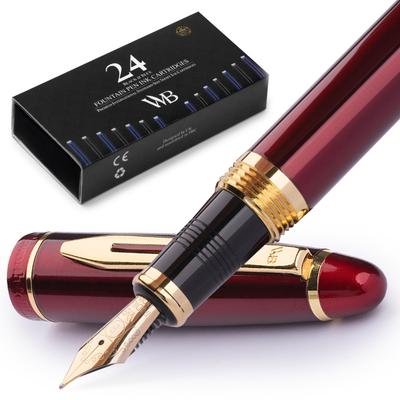 Accessori da scrittura – Penne stilografiche