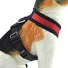 Dog Harness Adjustable Soft Breathable Dog Harness and Leash Set Nylon Mesh Vest Harness for Dogs Puppy Dogs Collar Chest Strap
