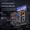 Newmine N526 Portable Karaoke Speaker CN plug (adapter included) (CN version)