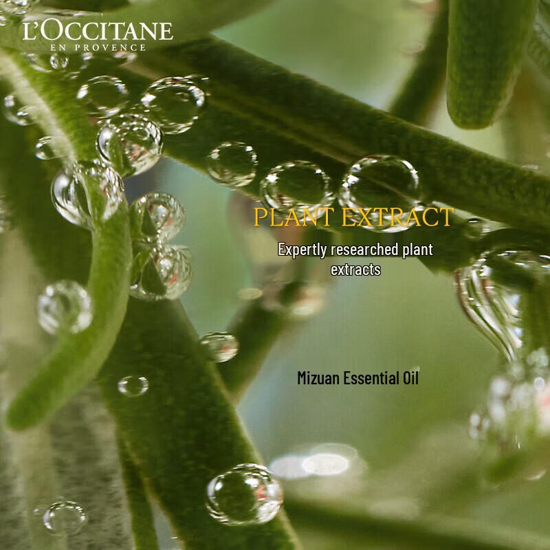 L'Occitane 5-in-1 Herbal Strength & Volume Shampoo