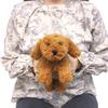 Sun Lemon Lap Dog Toy Poodle BR SS 15 X 26 X 12cm Plush Animal Cute Dog P-8082