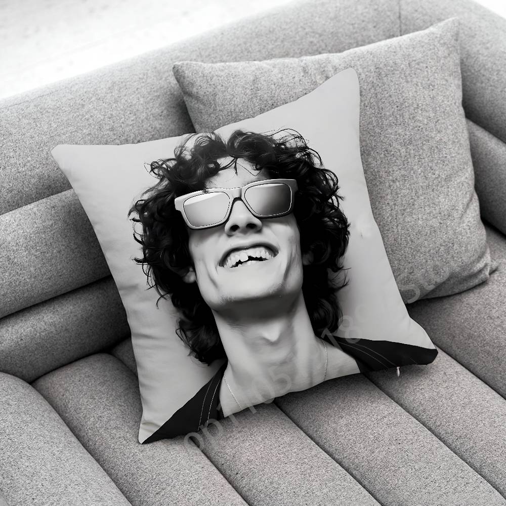 S-Sombr Back to Friends I Barely Know Her Throw Pillow Case For 30cm 40cm 45cm 50cm 55cm Square Sofa Pillowcase Shell