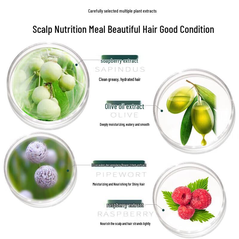 seeyoung Sapindus Silicone-Free Shampoo & Conditioner Set