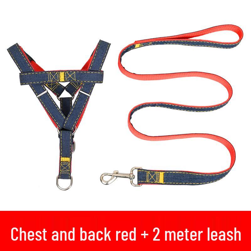 Multi-Size Dog Leash & Collar Set for Walking - Suitable for Small To Large Breeds