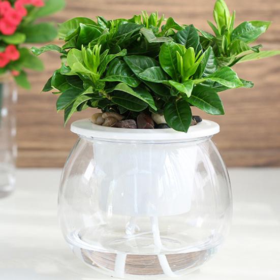 Self Watering Plant Pot Flower Pot with Transparent Reservoir Clear Self Watering Planter for Indoor Plants Flowers African Violets