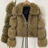 Autumn and winter simulated raccoon hair wool woven jacket women's short thickened high-end environmentally friendly fur European and American