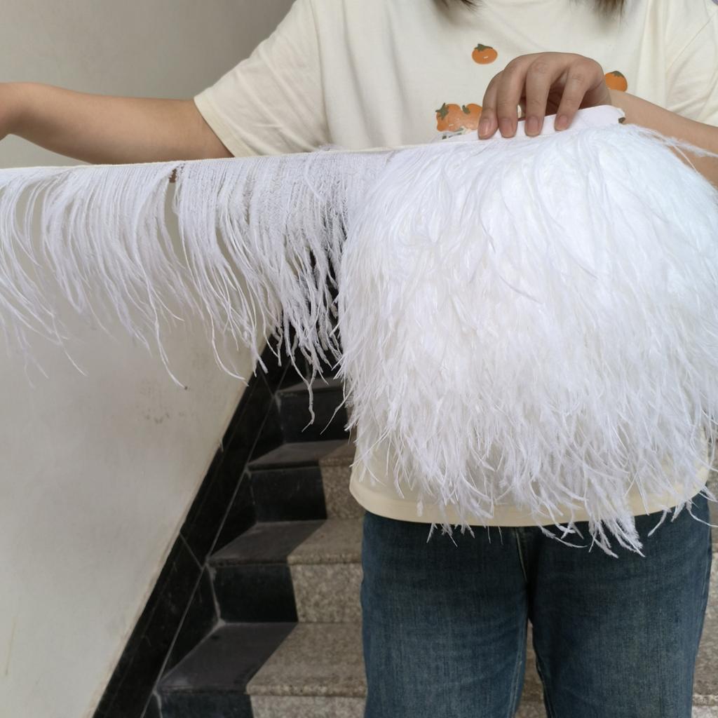 Feather1M Leather Pink Ostrich Feathers Trim 10-22cm Real Ostrich Plumes for Dress Sleeve Jacket Edge Burlesque Carnival Costume Design