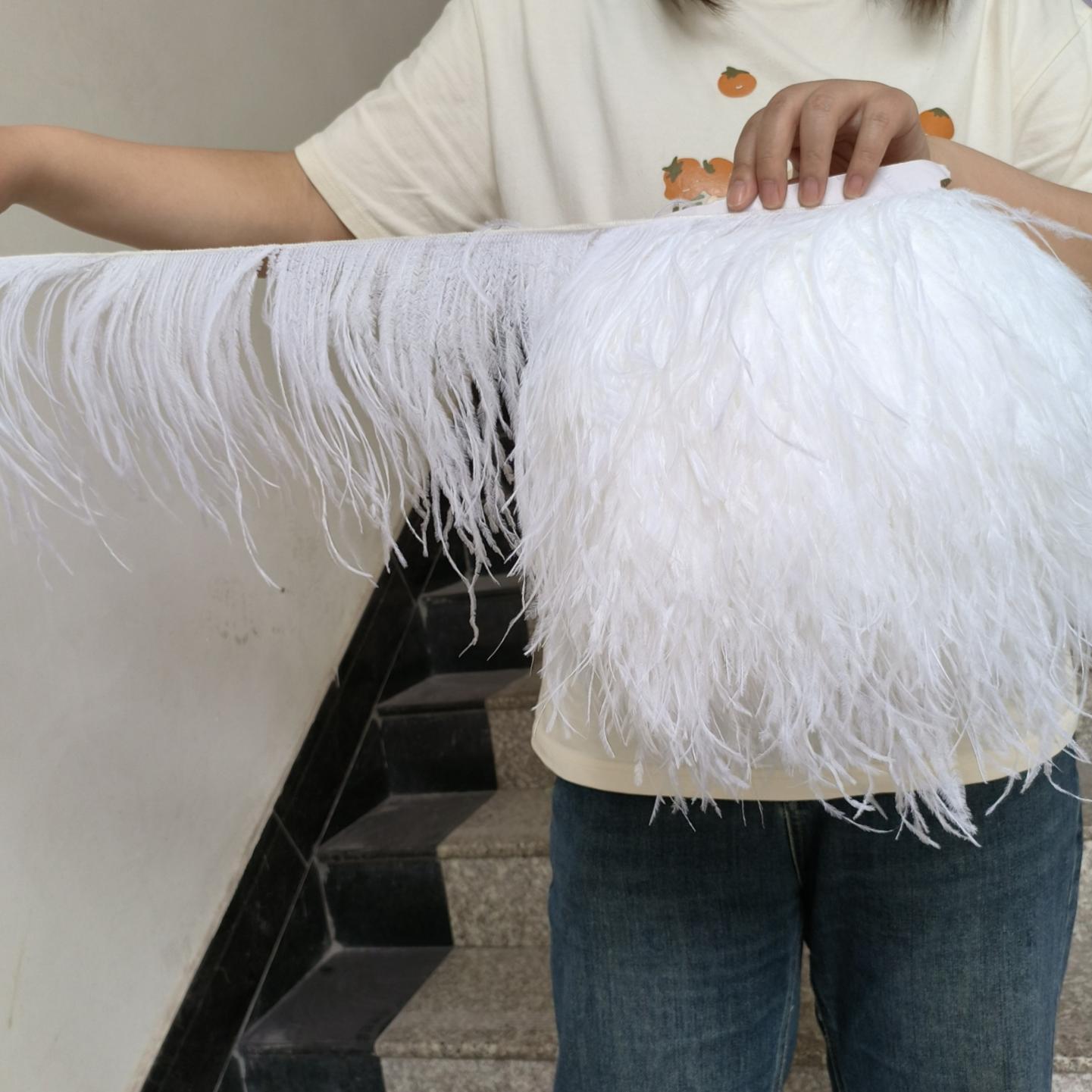 Xq We Wantice Feather1 Meter/Lot Ostrich Feather Trim 10-22Cm For Sewing Dress Costume Carnival Wedding Decoration Diy Craft Hair Accessories