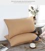 Durable 48x74cm Hotel Pillow Set - High Loft, Plush, Home Gift, Pair of 2