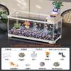 Traditional Style Fish Tank Mini Desktop Aquarium for Living Room Self-Cleaning Eco Landscape Goldfish Bowl Modern Home Decor