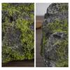 Artificial Lichen Stones Lifelike Rocks Natural