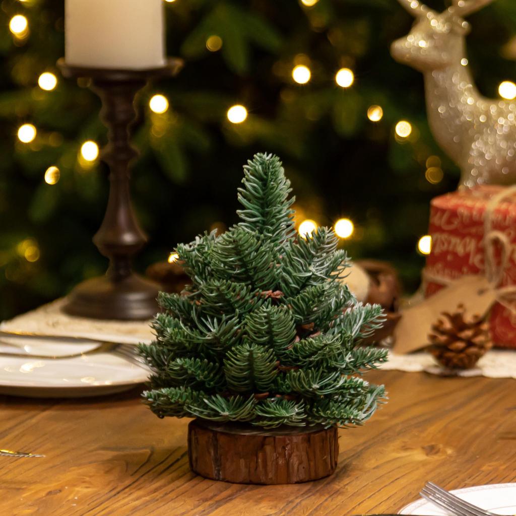Vánoční dekorace na jídelní stůl z mini borovice severské