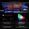 JMGO N5S Pro 4K Tri-Color Laser Home Projector Gift Set (CN version)