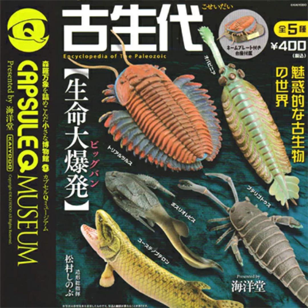 

[Б/У] Палеозойский взрыв жизни