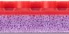 Butterfly Table Tennis Rubber Bugler Red 00470 006 2.1