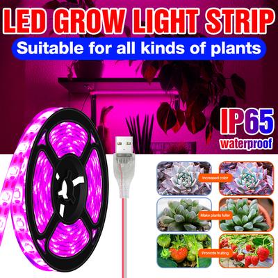 LED Grow Light Full Spectrum Flexibilní páska s lampou pro rostliny Vodotěsná Vnitřní květinová Semena Zelenina Hydroponie Pěstování Osvětlení