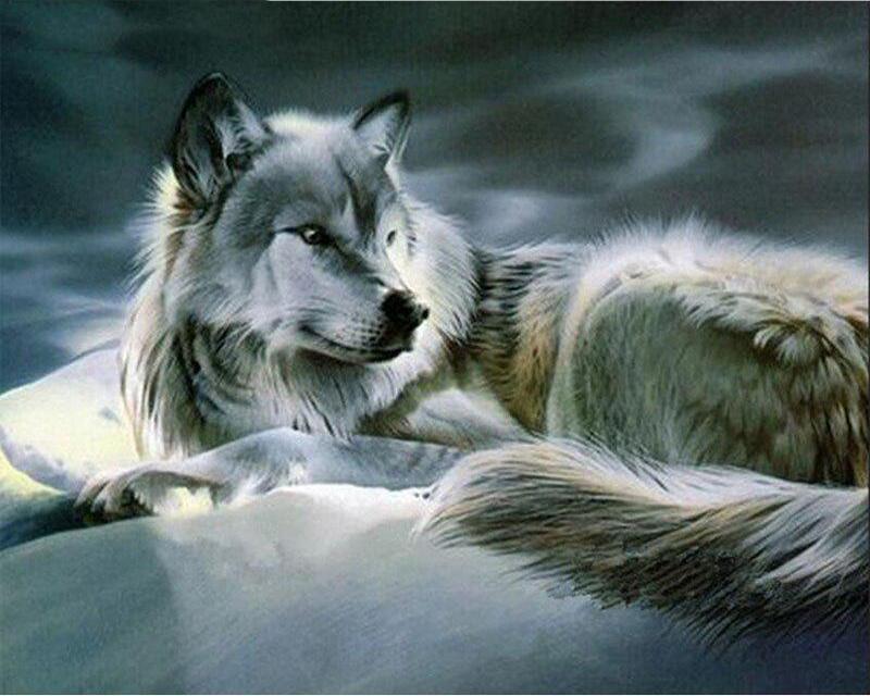 מקדחה מלאה ציור יהלומי מרובע חלום מנגרובים נוף תמונה של יהלומי ריינסטון רקמת זאב סוס בעל חיים תפר צלב דקור לבית