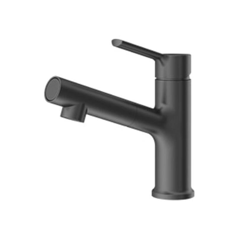 

Arrow AD4140GGP Pull-Out Basin Faucet with Mouthwash Sprayer