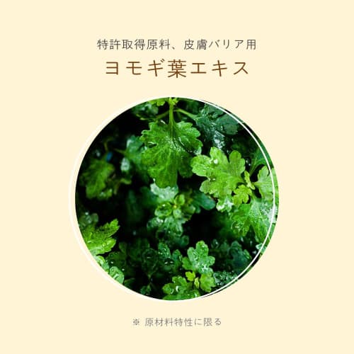 Briel Shea Butter 10% Moisture Lotion 300g Baby & Kids Lotion