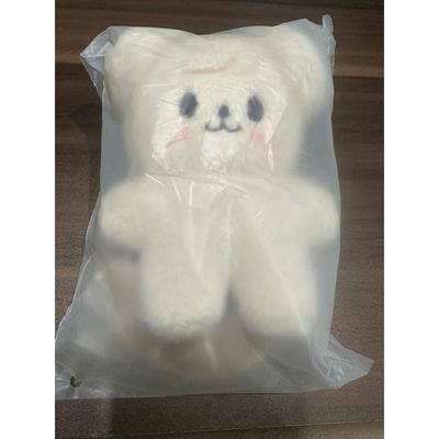 Used Straykids Sukizu celebrATE Standing Sewing Papim