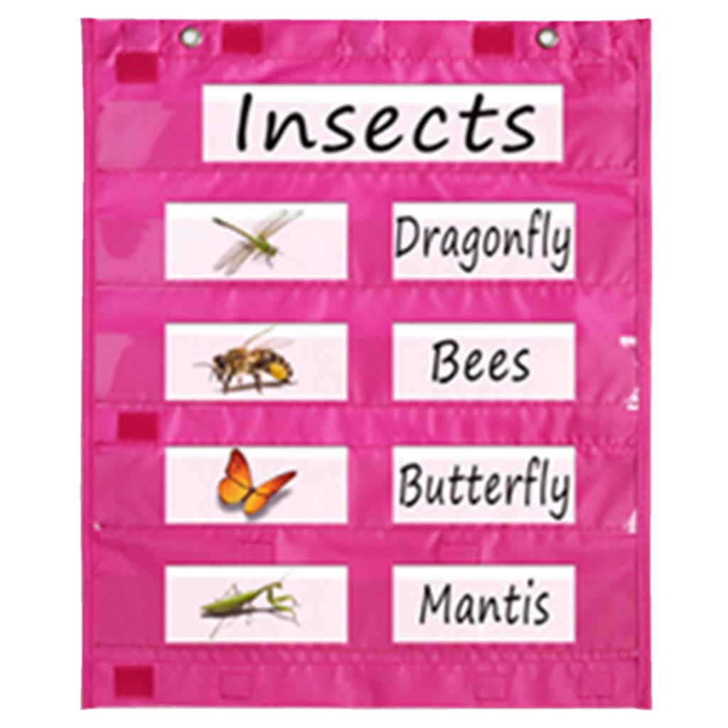 Educational Wall Organiser With Clear Pockets Boosts Interactive Learning & Engagement. Home School Learning Station