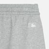 New MLB Boston Red Sox Casual Shorts Unisex Heather Gray 3ASPM0143-43MGS