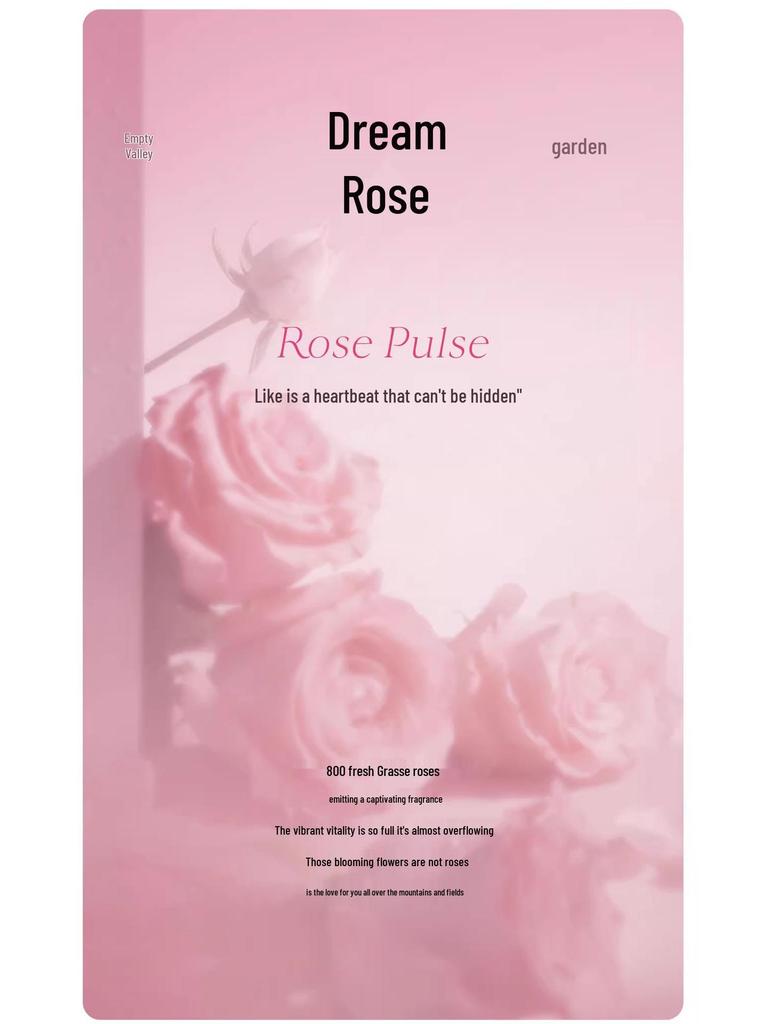 Dream Rose Long-lasting Perfume for Women - Bestseller in Vietnam