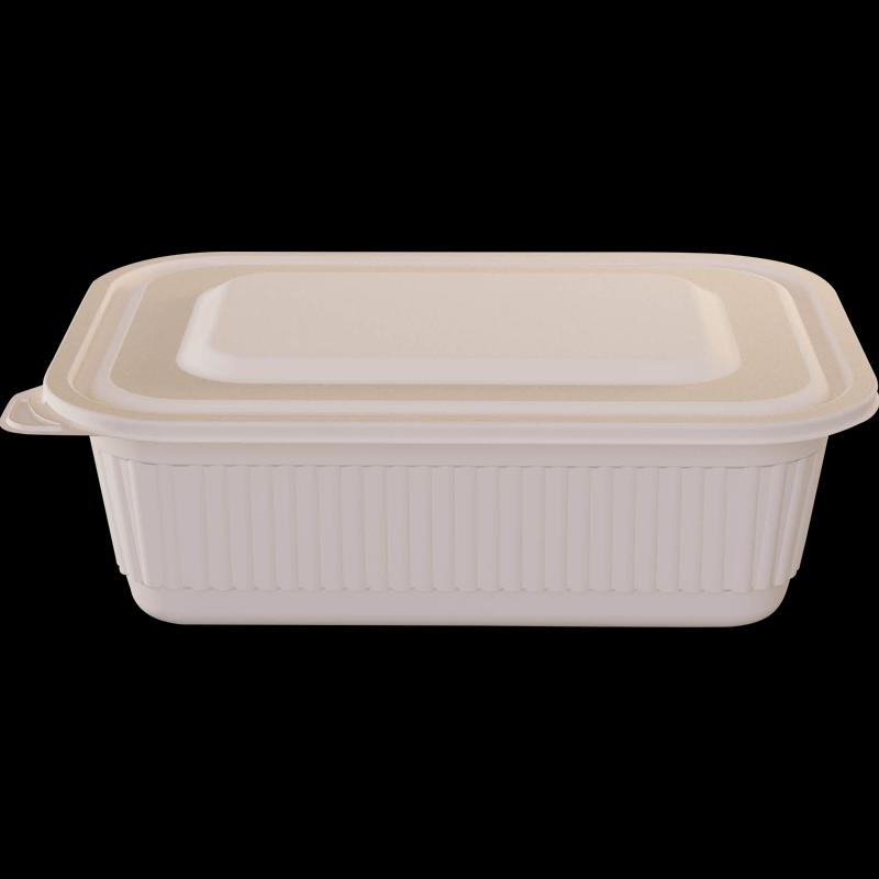 Disposable Corn Starch Lunch Box