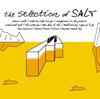 CD SATORU SHIONOYA  The Selection Of Salt VICJ61282 Victor 2005 Japan ObiJazz Used