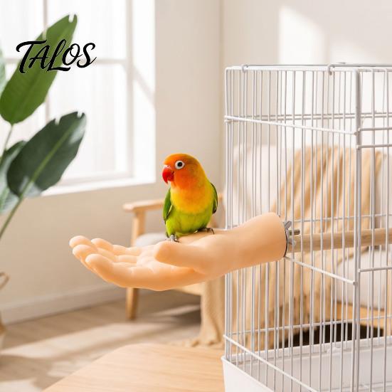 Realistic Hand Bird Perch Hand-Shaped Parrot Perch, Stand with Screw Fastener, Training for Birds Cage Budgie Cockatiels, Desensitization Interactive