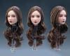 1/6 Scale Female Head Sculpt Beauty Girl Rooted Hair Head Carving 12 Inch Female PH TBL JO Action Figure Body Collection (Long Hair)