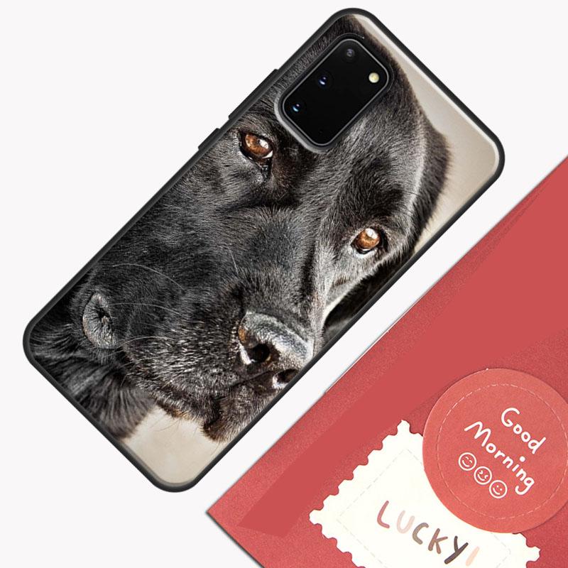 Black labrador retriever Animal Dog Phone Case For Samsung Galaxy S26 S25 S24 S20 S21 S22 S23 Ultra S10 Plus S25 FE Cover Shell