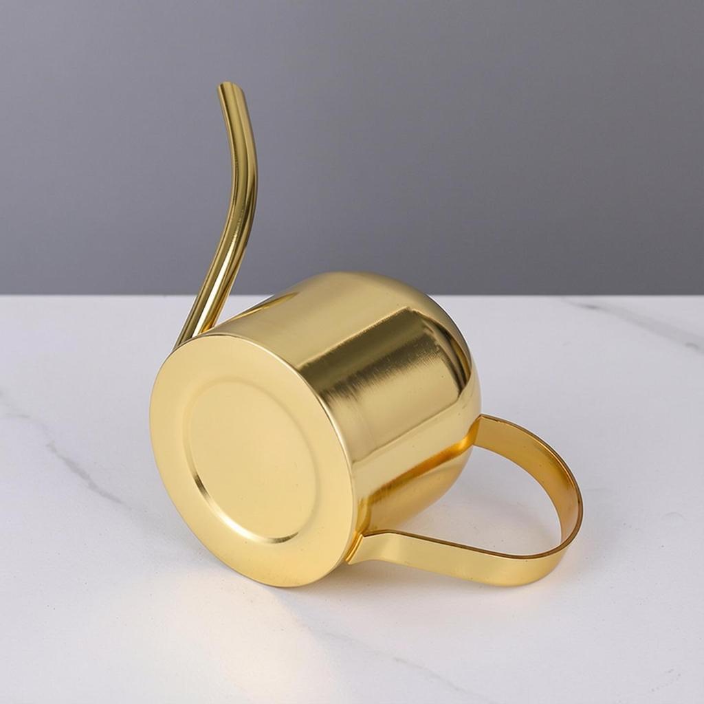 Rose Gold Stainless Steel Watering Can with Spout, Retro Style, 1000ML for Succulents and Green Plants