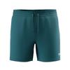 Speedo Mens Essentials Swim Shorts
