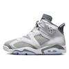 Air 6 Retro 'Cool Grey' Men's CT8529-100
