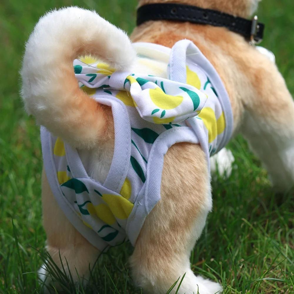 Sanitary Protection Female Dog Pants Cute Physiological Dog Pants Sanitary Dog Pants  Pet Care
